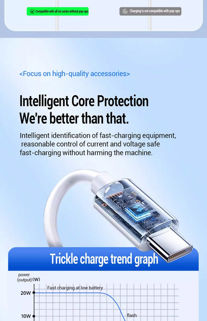 100W Charging Cable