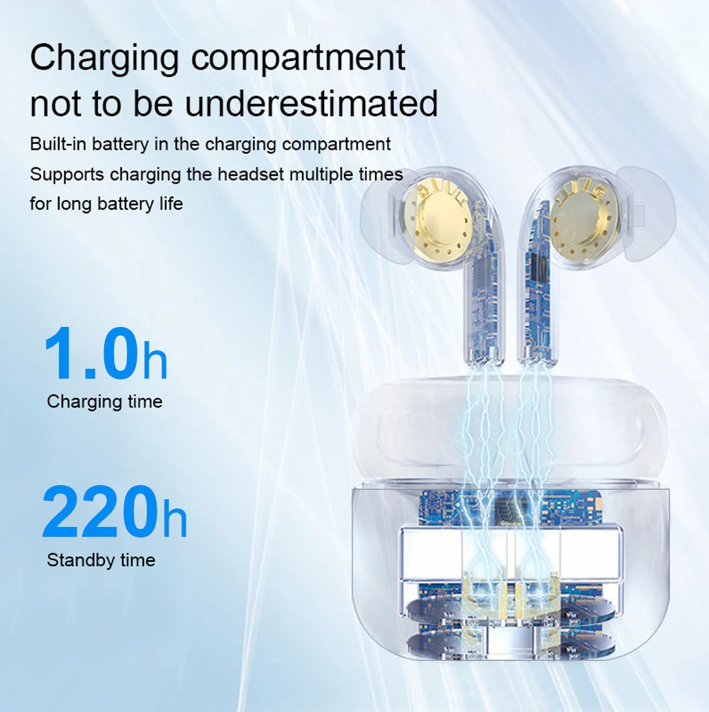 Wireless ANC Earbuds